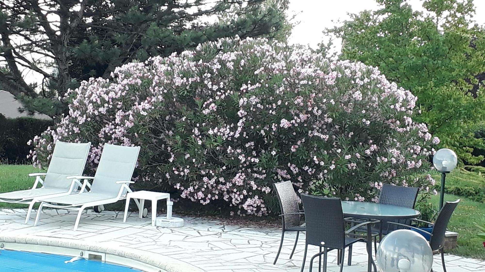 Villa Avec Vue Biviers 外观 照片